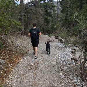 Meet your Posher, William